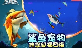 饥饿鲨世界最新鲨鱼爆料,最新鲨鱼品种大曝光！