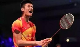 羽毛球明星爆料视频在线观看,揭秘赛场背后的故事