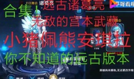 老米对付爆料者视频大全,视频大全深度解析